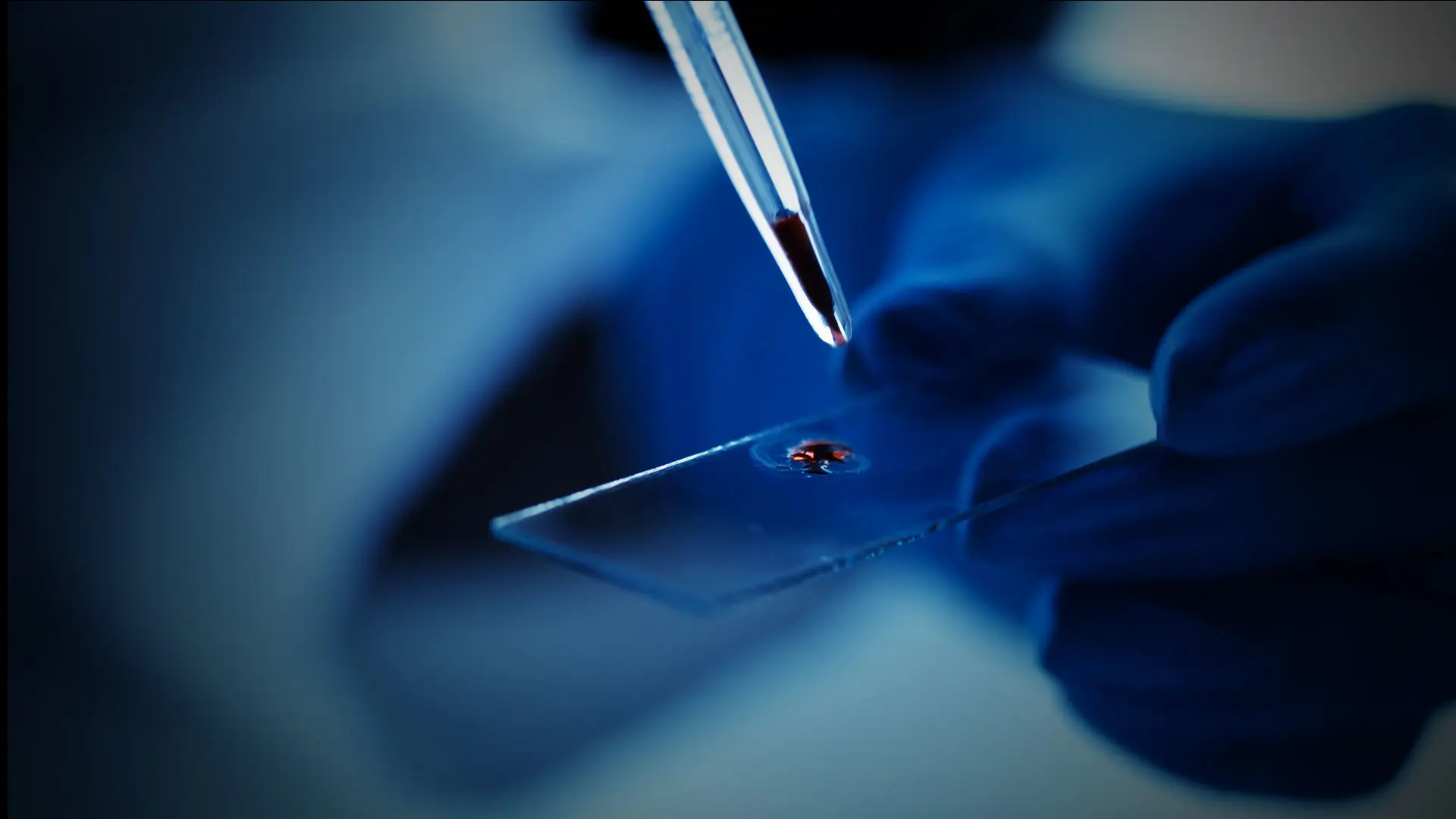 ExoDiscovery laboratory